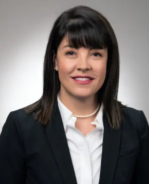 Clark County Councilor District 2