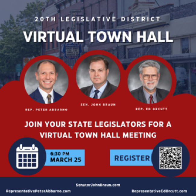 LD 20 Virtual Town Hall