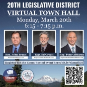 LD 20 Town Hall Meeting March 20, 2023