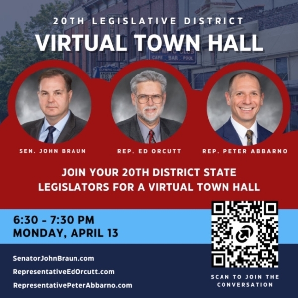 LD 20 Virtual Town Hall
